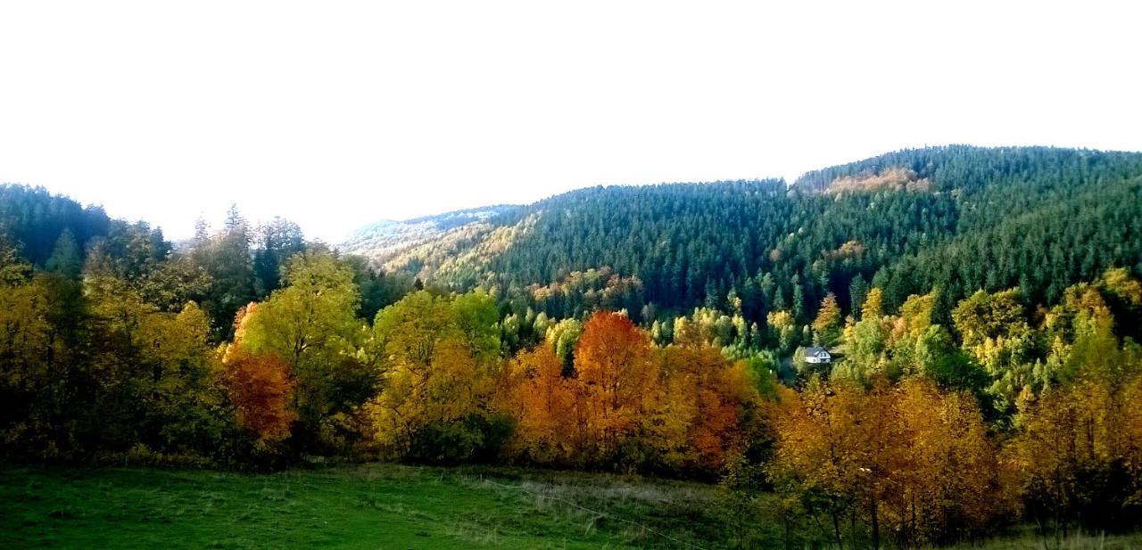 Agroturystyka Gluszyca Lomnica Lomnica  Esterno foto