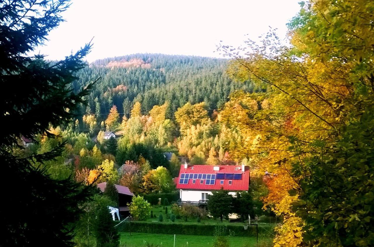 Agroturystyka Gluszyca Lomnica Lomnica  Esterno foto