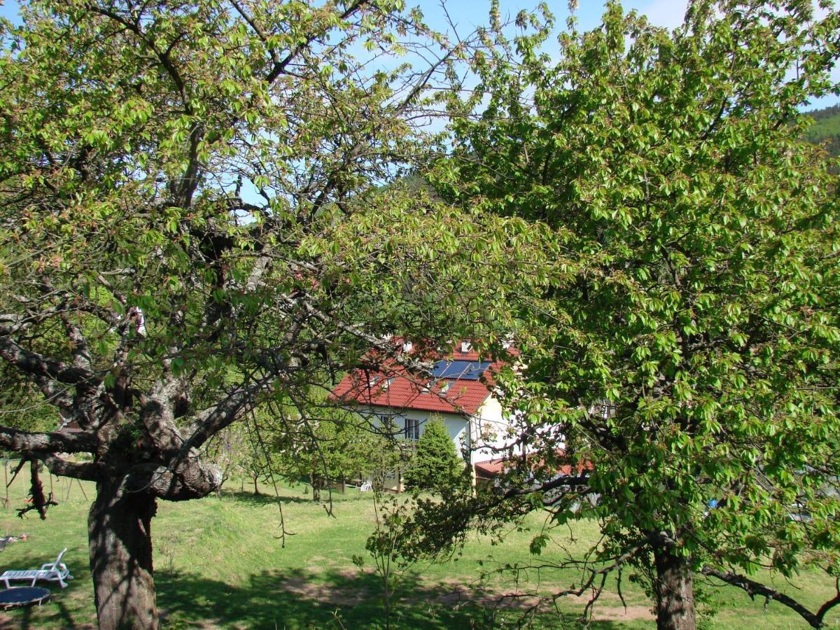 Agroturystyka Gluszyca Lomnica Lomnica  Esterno foto